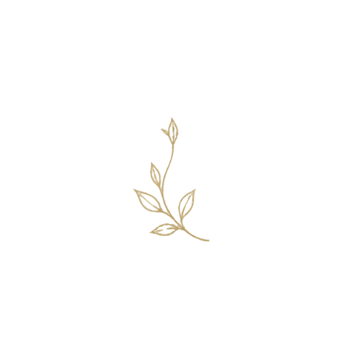 kim gardner circular logo white version - by kim gardner - electrolysis hair removal (1)